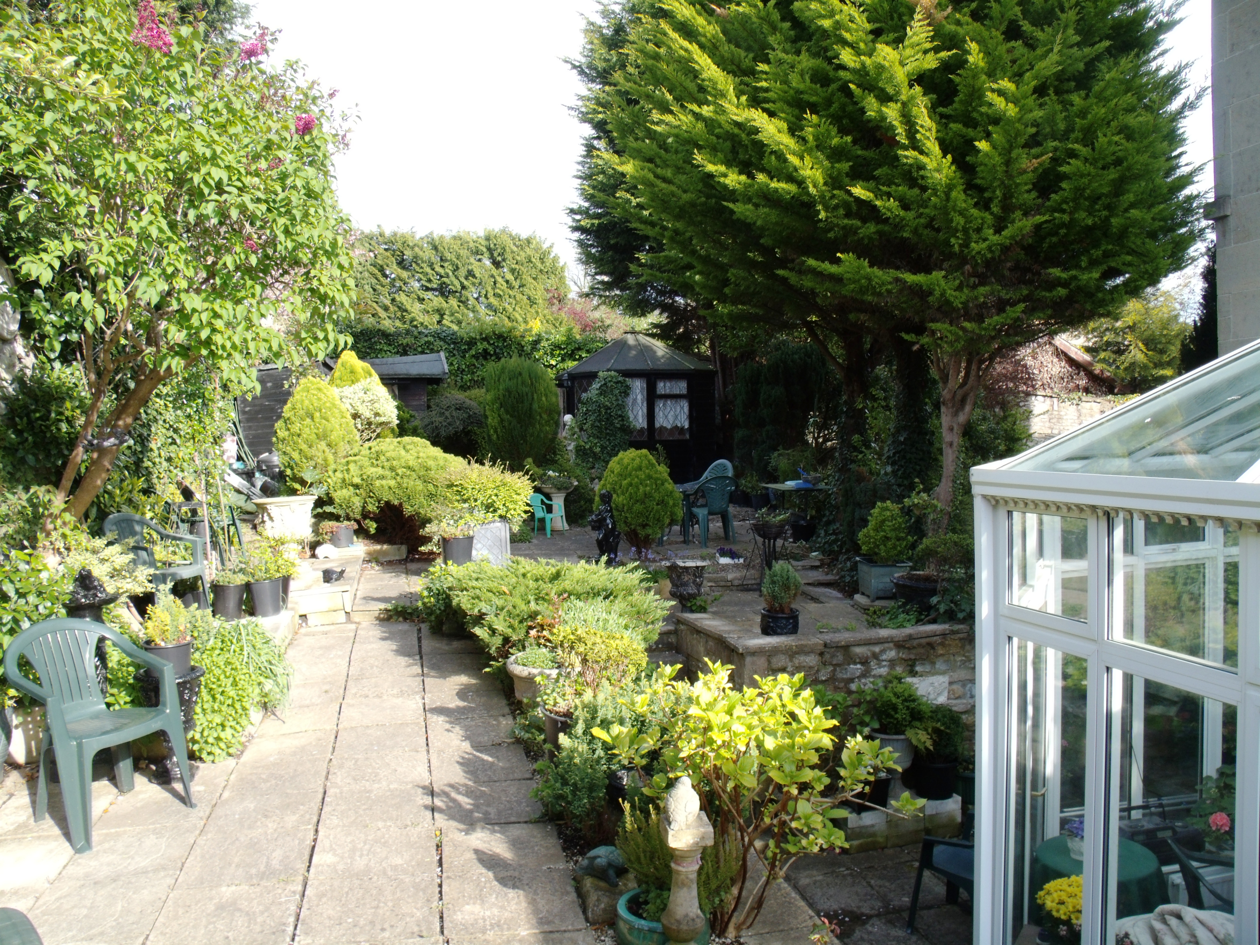 sunny rear garden.jpg